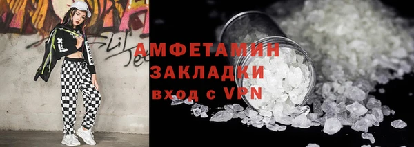 индика Горняк