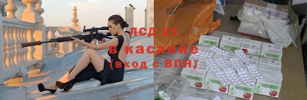 индика Горняк