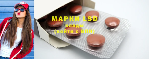 индика Горняк