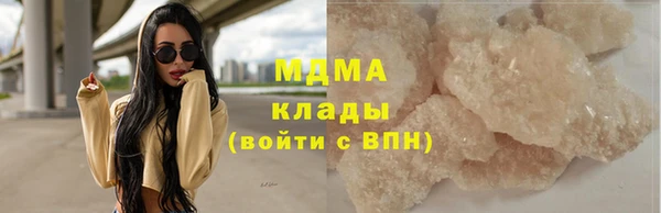 индика Горняк