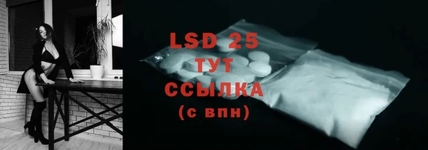 индика Горняк