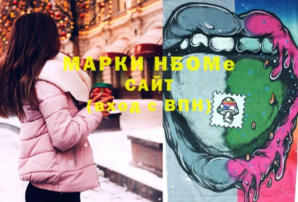 индика Горняк