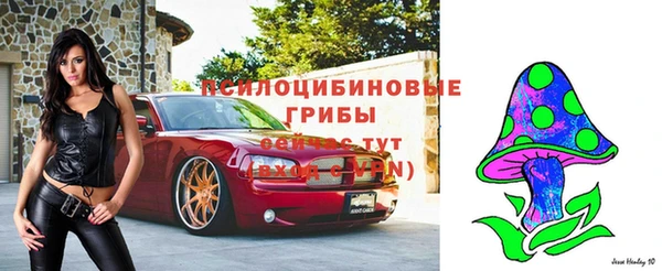 трава Горнозаводск