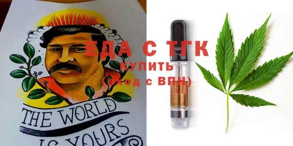 индика Горняк