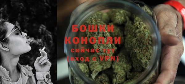 индика Горняк