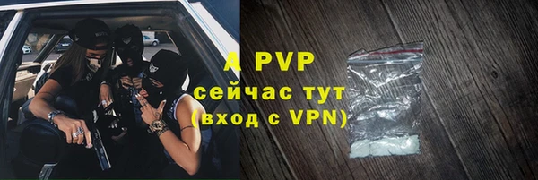 индика Горняк