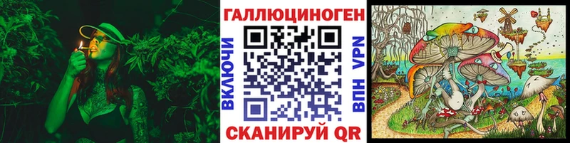 Купить  Белгород  Псилоцибиновые грибы мицелий 